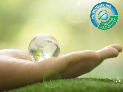 eco-friendly-cleaner-richmond